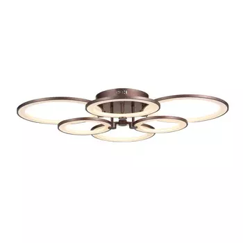 Накладная люстра ST-Luce SL867.702.06