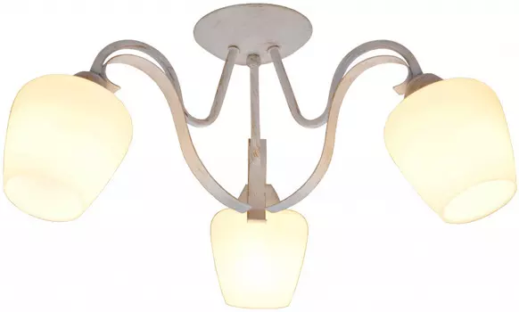 Накладная люстра TOPLIGHT TL1133-3D