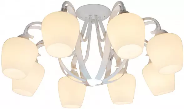 Накладная люстра TOPLIGHT TL1133-8D