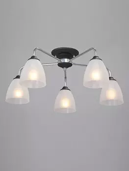 Накладная люстра Vitaluce V3946-1/5PL