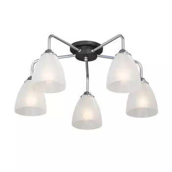 Накладная люстра Vitaluce V4500-9/5PL