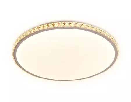 Накладной светильник Ambrella Light FF70