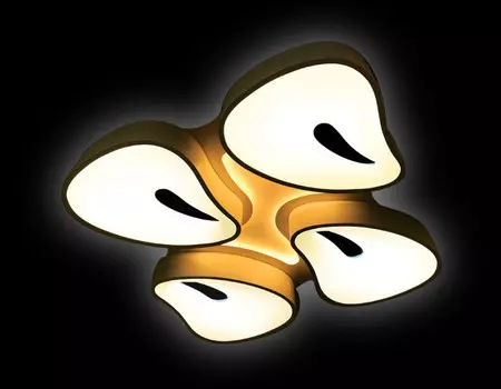 Накладной светильник Ambrella Light FG2084 WH 128W+24W D770*770