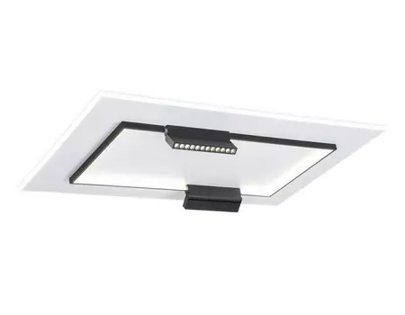 Накладной светильник Ambrella Light FL51456