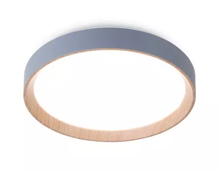 Накладной светильник Ambrella Light FZ1320