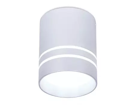 Накладной светильник Ambrella Light TN241