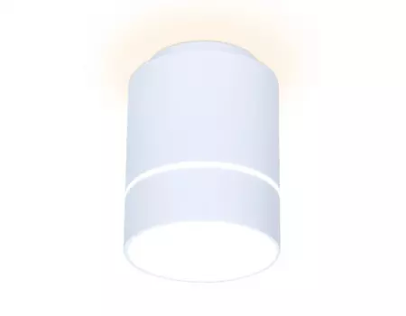 Накладной светильник Ambrella Light TN256