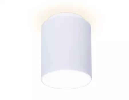 Накладной светильник Ambrella Light TN261