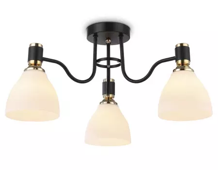 Накладной светильник Ambrella Light TR303303