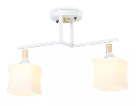 Накладной светильник Ambrella Light TR9484