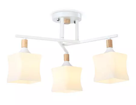 Накладной светильник Ambrella Light TR9488