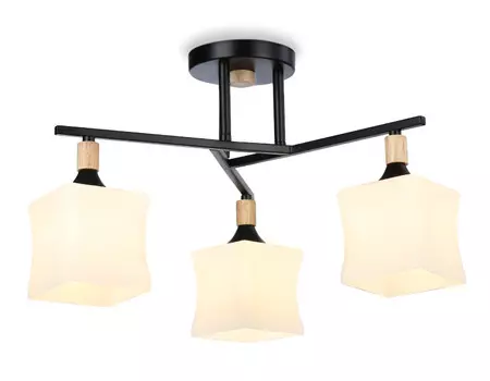 Накладной светильник Ambrella Light TR9493