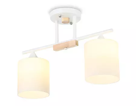 Накладной светильник Ambrella Light TR9541