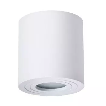 Влагозащищенный светильник ARTE Lamp A1460PL-1WH