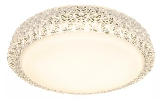 Накладной светильник ARTE Lamp A1569PL-1CL