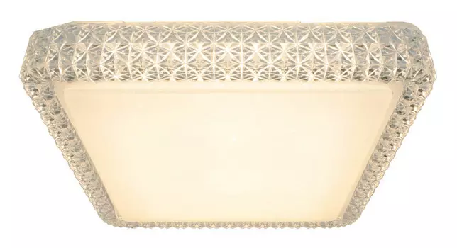 Накладной светильник ARTE Lamp A1571PL-1CL