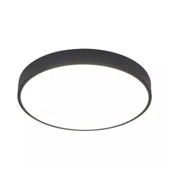 Накладной светильник ARTE Lamp A2661PL-1BK