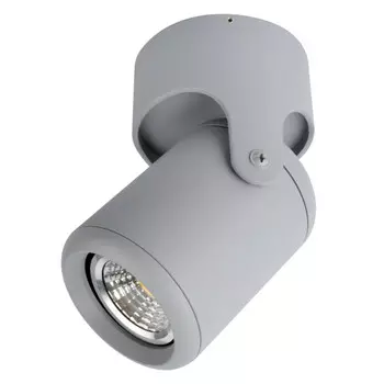 Спот ARTE Lamp A3316PL-1GY