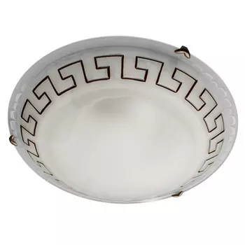 Накладной светильник ARTE Lamp A3650PL-3AB