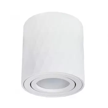 Накладной светильник ARTE Lamp A5559PL-1WH