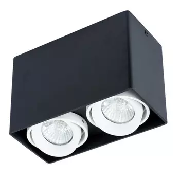 Накладной светильник ARTE Lamp A5655PL-2BK