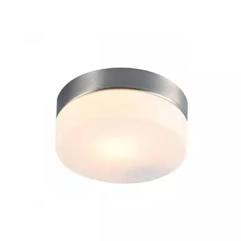 Накладной светильник ARTE Lamp A6047PL-1SS