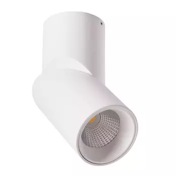 Накладной светильник ARTE Lamp A7717PL-1WH