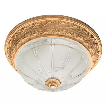 Накладной светильник ARTE Lamp A8014PL-2WA
