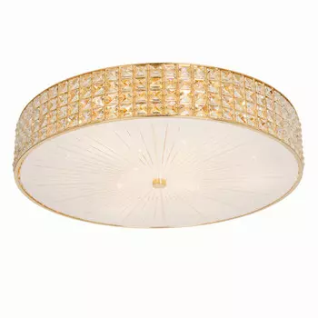 Накладной светильник Citilux CL324102