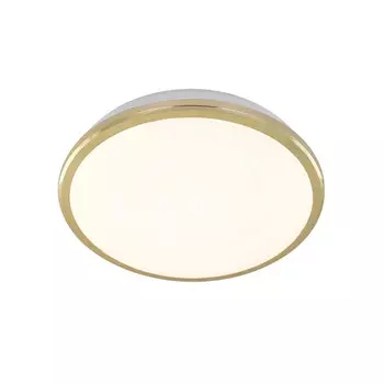 Накладной уличный светильник Citilux CL702162W