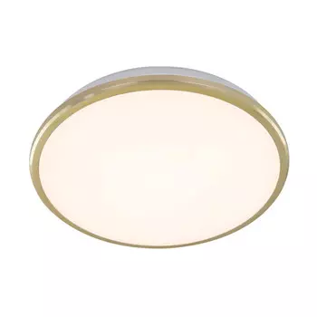 Накладной уличный светильник Citilux CL702222W