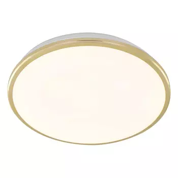 Накладной уличный светильник Citilux CL702302W