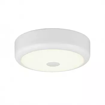 Накладной светильник Citilux CL706110