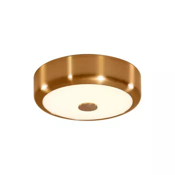 Накладной светильник Citilux CL706112