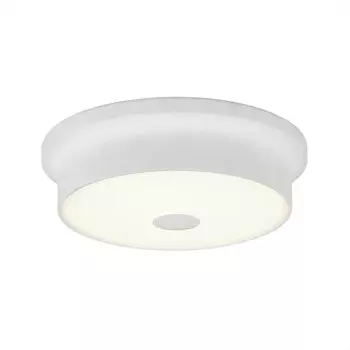 Накладной светильник Citilux CL706210