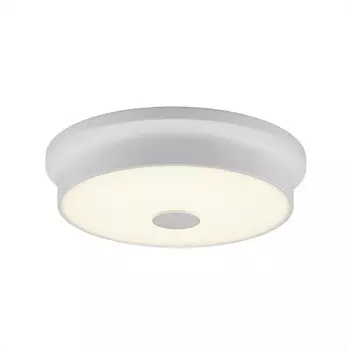 Накладной светильник Citilux CL706220