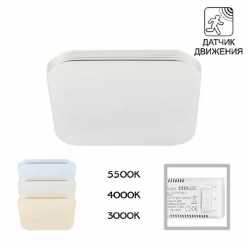 Накладной светильник Citilux CL714K24SV