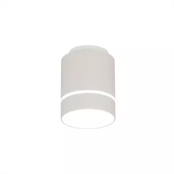 Накладной светильник Citilux CL745010N