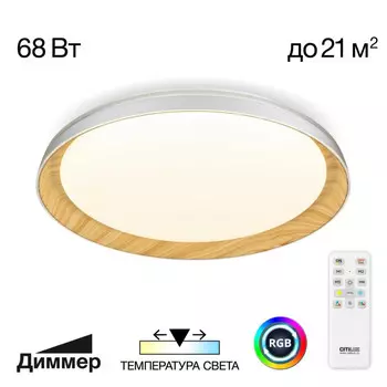 Накладной светильник Citilux CL752452G