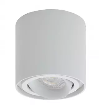 Накладной светильник Denkirs DK2001-WH