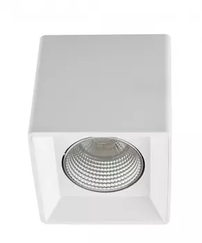 Накладной светильник Denkirs DK3080-WH+CH