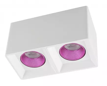 Накладной светильник Denkirs DK3085-WH+PI