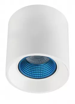 Накладной светильник Denkirs DK3090-WH+CY