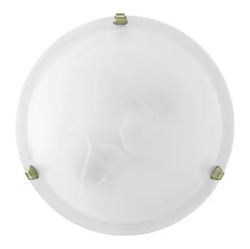 Накладной светильник EGLO 7901