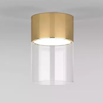 Накладной светильник Elektrostandard 25047/LED 10W 4000К латунь/прозрачный