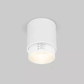 Накладной светильник Elektrostandard Cors 10W (25032/LED) белый