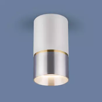 Накладной светильник Elektrostandard DLN106 GU10 белый/серебро