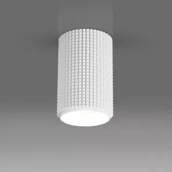 Накладной светильник Elektrostandard DLN112 GU10 белый