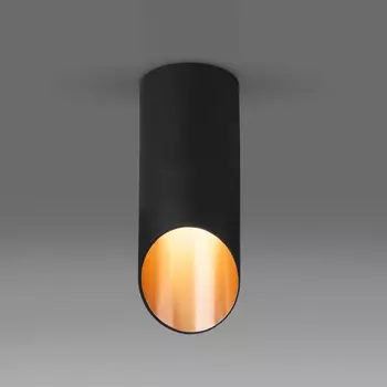 Накладной светильник Elektrostandard DLN114 GU10 черный/золото