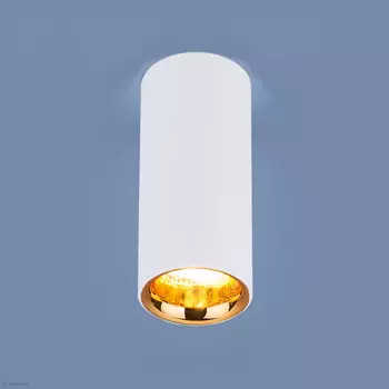 Накладной светильник Elektrostandard DLR030 12W 4200K белый матовый/золото